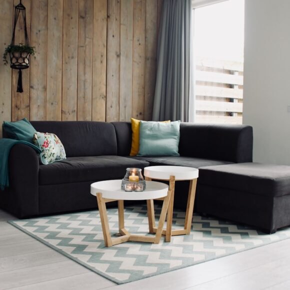 Small apartment living room with sofa, rug and natural light