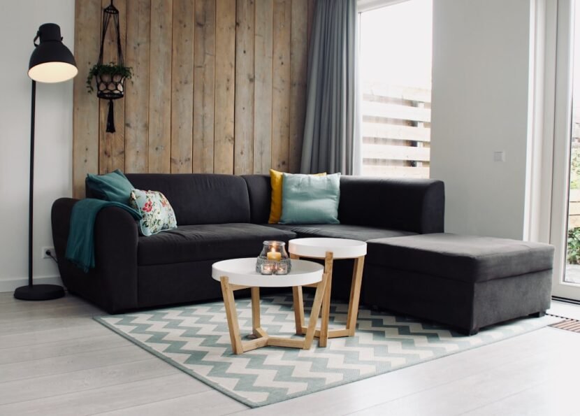 Small apartment living room with sofa, rug and natural light
