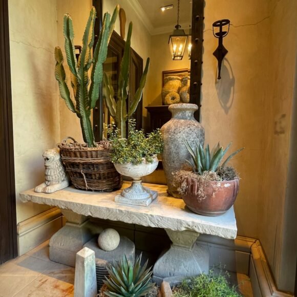 Narrow hallway decorated with a mirror and potted plants on a console table