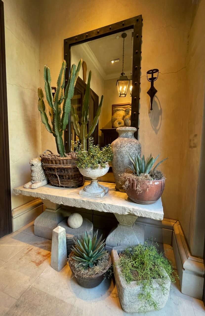 Narrow hallway decorated with a mirror and potted plants on a console table
