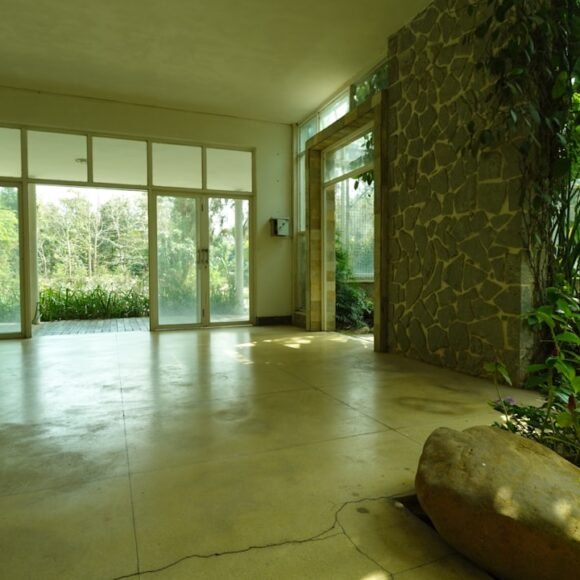 Bright room with large windows, lush green plants and natural wood elements