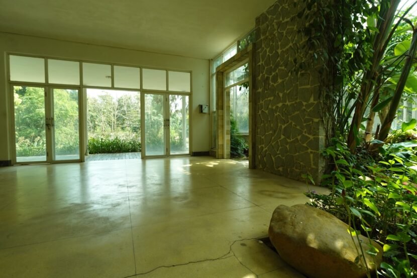 Bright room with large windows, lush green plants and natural wood elements