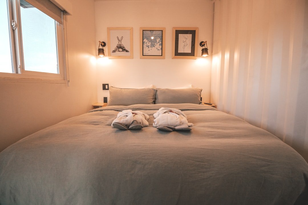 Small bedroom with cozy minimal lighting and decor