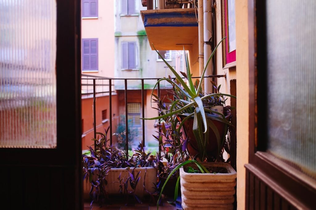 Green plant in a white ceramic pot on a balcony