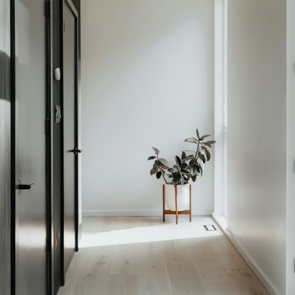 Entryway Ideas for Every Home Layout and Budget Bright hallway entryway with natural light